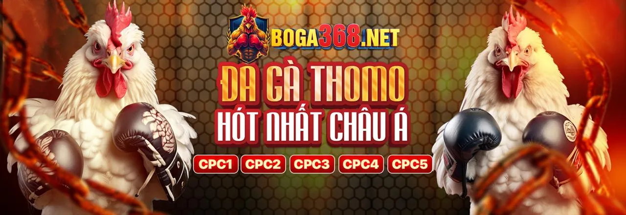 Đá Gà Trực Tuyến Qibet 2026