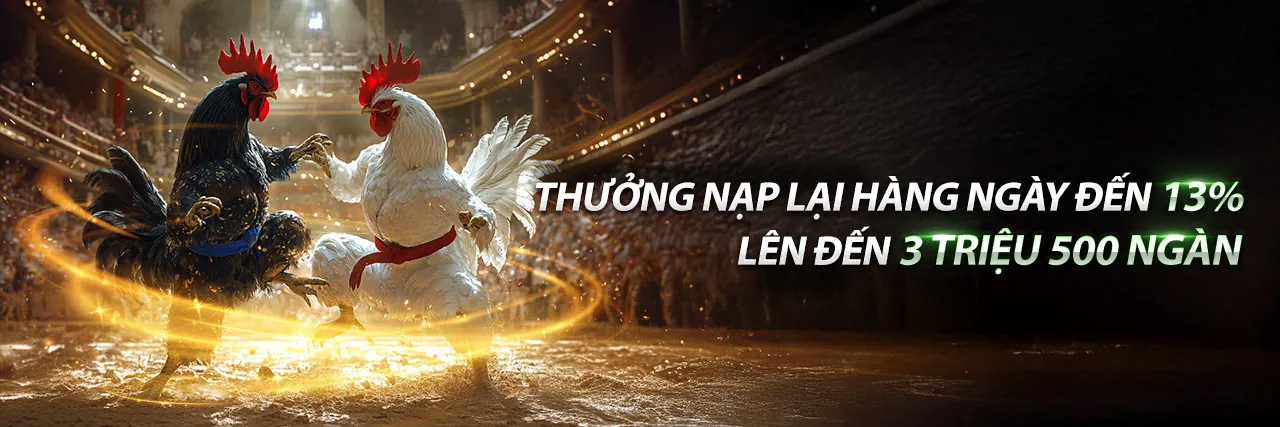 Các khuyến mãi và ưu đãi độc quyền tại Qibet
